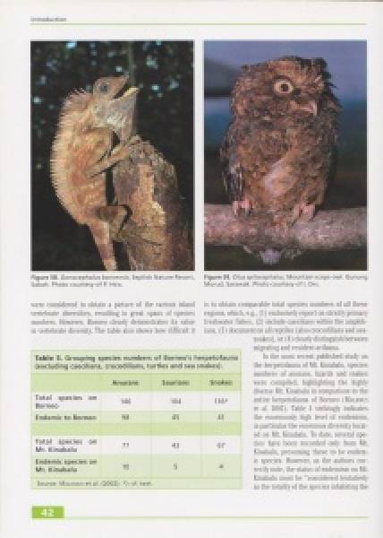 Taxonomy, Life History and Conservation of Giant Reptiles in West Kalimantan